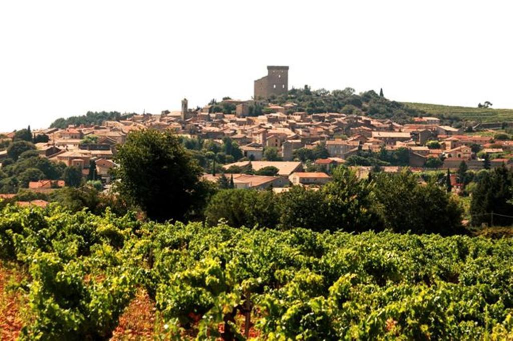Le Mas De L'Amandier Saint-Saturnin-lès-Avignon Exterior photo